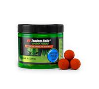Tandem Baits Carp Food Perfection Mini Pop-Up Sardine du Pacifique, D'appâts pour carpes, Pêche de la Carpe, Peche, Pop-Ups, Bouillette Carpe, Professionnel Accessoires de Pêche Carpe 16mm 70g