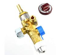 Tandoor Robinet à gaz 21S avec bouton Kit Shaan Shahi Clapet de contrôle des flammes