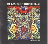Blackbird Blackbird - Tangerine Sky