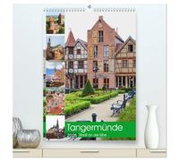 Tangermünde - Stadt an der Elbe (hochwertiger Premium Wandkalender 2026 DIN A2 hoch), Kunstdruck in Hochglanz: Fachwerkstadt in der Altmark