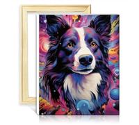 TANGFEIY Kit de peinture par numéro Border Collie DIY Peinture par numéro avec pinceaux et pigment acrylique sur toile Art Photo pour décoration intérieure Sans cadre (40x50cm)