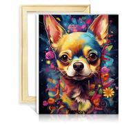 TANGFEIY Kits de peinture à l'huile chien chihuahua bricolage débutant peinture acrylique par numéros avec pinceaux et pigment acrylique sur toile pour décoration murale avec cadre (40x50cm)