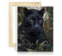 TANGFEIY Kits peinture à l'huile par numéros Panthère noire fantaisiste Peinture par numéros Adultes Débutant avec 3 pinceaux et peintures acryliques Projet d'artisanat d'art avec cadre (30x40cm)