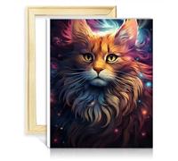 TANGFEIY Peinture à l'huile par numéros Kits Nebula Cats DIY Décoration d'intérieur Peinture acrylique Numéro avec pinceaux Arts Crafts pour la décoration intérieure avec cadre (30x40cm)