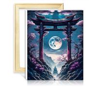 TANGFEIY Peinture sur toile par numéros Geisha Moonlightb Adultes Art Artisanat avec pinceaux et pigment acrylique pour décoration murale Peinture DIY Cadre (30x40cm)