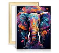 TANGFEIY sur toile facile à peindre œuvre d'art éléphant adultes kits peinture décoration intérieure pinceaux et pigment acrylique sur toile pour décoration murale maison cadre bricolage (30x40cm)