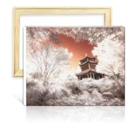 TANGFEIY sur toile facile à peindre œuvre d'art Japon Asie pagode voyage bricolage peinture à l'huile peinture par numéro kit adultes peinture numérotée art mural bricolage cadre (30x40cm)