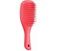 Tangle Teezer The Mini Wet Detangler Hairbrush For Wet & Dry Hair Perfect For Kids & Traveling Eliminates Knots & Reduces