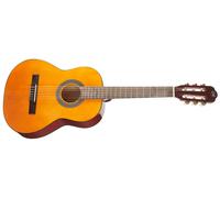 Tanglewood EM C2