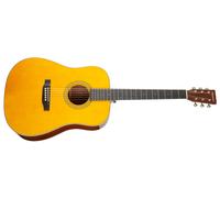 Tanglewood TW40 D AN E