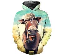 TangoDS Hommes/Femmes Drôle Animal Imprimé en 3D Sweats à Capuche Âne Graphique Automne Hiver Manches Longues Poche Sweatshirts Pull Manteaux Tops