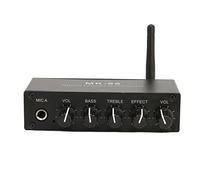 Tangxi 6,5 Mm Karaoke Aluminium Mixer Double Intrée de Microphone Portable Réverbération Numérique à la Musique KTV, sans Fil, Adaptée aux Salles de DJ, KTV