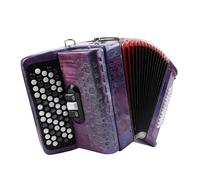 Tangxi Accordéon à Boutons Chromatiques à 62 Touches, Réglage 60 Basses F B E pour Débutants et Professionnels