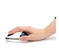 Tangxi Souris D'ordinateur Panda Mignon, Technologie 2,4 GHz, Distance de Fonctionnement de 10 M, Connexion USB, Conception Fil et Fonctionnelle, pour iOS