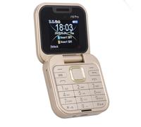 Tangxi Téléphone à Clapet débloqué, Téléphone Portable 2G pour Personnes âgées, Mini Téléphone Portable Pliable avec Radio FM, Voix Magique, Liste Noire, Vibration de Numérotation (Gold)