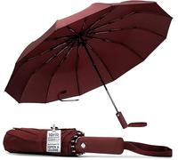 TANNESS Parapluie coupe-vent - 10 baleines imperméable et compact avec fonction d'ouverture et fermeture automatique et poignée ergonomique - Mini parapluie pliable - Parapluie solide pour le vent et