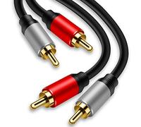 TanQY Câble audio stéréo 2 RCA vers 2 RCA mâles vers 2 RCA mâles pour home cinéma, HDTV, consoles de jeux, systèmes Hi-Fi (12 m)