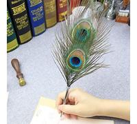 TANSHOP Lot de stylos de calligraphie à plume de paon avec support - Cadeau fantaisie pour l'école, le bureau, la maison et le bureau (stylo plume avec support)