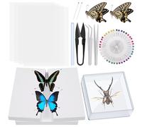 Tanstic Kit d'outils d'échantillons d'insectes - Boîte de présentation d'insectes - Ailes en papier pressant - Planche à épingler les insectes - Bâtons de colle chaude - Pince à épiler - Ciseaux pour