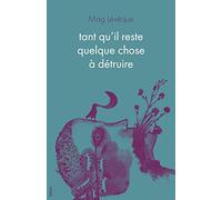 Tant qu'il reste quelque chose à détruire