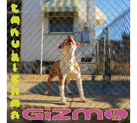 Tanukichan - Gizmo
