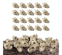 Tanxemery Pierres pour vases - Pierres de remplissage pour vase - Vingt crânes de dragon polis - Accessoires design pour jardin, aménagement paysager intérieur et extérieur