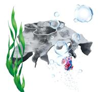 Tanxemery Tunnel pour crevettes d'aquarium,Tunnel de Cachette Réaliste et Stable | Cachettes pour Aquarium | pour Nourriture Repos Cache Combattant Poisson Eau Douce Crevettes