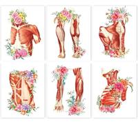 TANXM Lot de 6 affiches d'anatomie musculaire à l'aquarelle, physiologie humaine, art médical, décoration artistique (2,4 x 3 m, sans cadre)