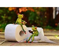 TANYANG Drôle De Papier Toilette Salle De Bain Nordique Grenouille Affiches Et Impressions Toile Peinture Murale Art Images Pour Salle De Bain Wc Salle De Bain Décoration Intérieure 21X30Cm No Frame