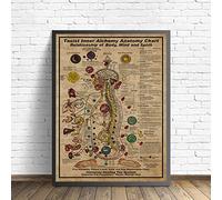 TANYANG Taoïste Lnner Alchimie Anatomie Affiches Tableau Relation Du Corps Esprit Et Esprit Toile Peinture Mur Art Imprime Chambre Décor À La Maison 60X90Cm Sans Cadre