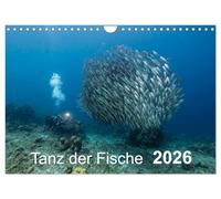 Tanz der Fische (Wandkalender 2026 DIN A4 quer), CALVENDO Monatskalender: Fischbälle - eine großartige Begegnung mit den verschiedensten Formen!