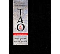 Tao - 16 pierres gravées - Martin Palmer - Tredaniel La Maisnie - Coffret - Guide