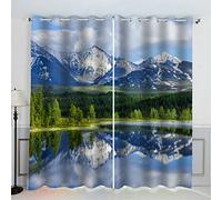 TAOLU Rideau Occultant Montagnes De L'altaï Rideaux 3D imprimé Thermique Isolant Anti Froid pour Décoration Salon Chambre Fenêtre Anti Bruit Paysage Nature Lac Forêt Rideau Polyester 2 Pièces 220x215