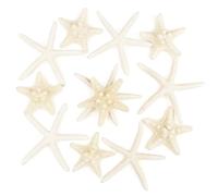 TaoQ C 12 Pièces Étoile de mer, 5-15cm mélange Étoile de mer Coquille Naturelle Étoile de mer Étoile de mer Coquille décor Parfait pour décoration de Mariage Plage thème fête, décoration à Maison