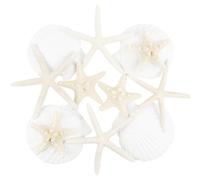 TaoQ C 12 Pièces Étoile de mer Coquillages de pétoncles, 5-12cm mélange Étoile de mer Coquille Blanc Coquille pour Mariage décoration Plage thème fête, réservoir de Poissons et Vase Remplissage