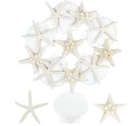 TaoQ C 15 Pièces Étoile de mer Coquillages de pétoncles, 5-9cm mélange Étoile de mer Coquille Blanc Coquille pour Mariage décoration Plage thème fête, réservoir de Poissons et Vase Remplissage