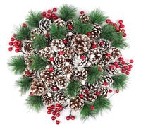 TaoQ C 150 Pièces Décorations de Cônes de Pin Cônes de Pin Naturel Décorations de Branche de pin de Baies de pin cônes de Noël pour Bricolage Artisanat Accueil Noël Hiver Vase Remplissage décoration