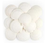 TaoQ C 16 Pièces Coquillages de pétoncles Coquillages naturels, 10cm - 12cm Blanc Coquille de mer Petit Coquillage pour Mariage décoration Plage thème fête, réservoir de Poissons