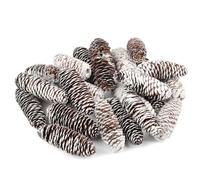 TaoQ C 24 Pièce Décorations de cônes de pin, cônes de pin naturels de Neige Ornements de cônes de pin de Noël pour Arbre de Noël Artisanat Cadeaux Thanksgiving Automne Noël décor à la Maison