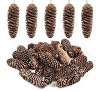 TaoQ C 24 Pièce Décorations de Grands cônes de pin, cônes de pin naturels Pinecones de Noël avec des Cordes pour Arbre de Noël Artisanat Cadeaux Thanksgiving Automne décor à la Maison