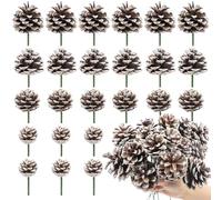 TaoQ C 24 Pièce Noël cônes de pin, 4 Tailles Naturelles Cone de pin avec Tige pour Arbre de Noël Artisanat Cadeaux Thanksgiving Automne Noël décor à la Maison