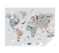 Tapeko Papier Peint Chambre Enfant 360x250 cm Carte du Monde Carte de la Terre Géographie Cartes Planète pour Garçon Fille Papier Peint intissé plus u95844