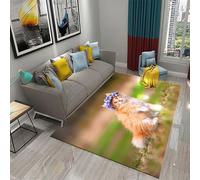 Tapis, 3D Imprimé Chat Animal Mignon Antidérapant Area Rug, Chambre Tapis Salon Anti-Slip Tapis La Chambre des Enfants Home Decor 80 X 120 Cm / 31.5" X 47.2" -4P0Y9S7Y1B0I6F5U2A4M