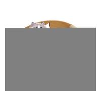 Tapis à Griffoir pour Chats - Panneaux de Griffades Litière pour Chaton,Fauteuil Relax Griffoir en Sisal Panier pour Chiot Protecteur de Meubles Canapé Lit Sol Intérieur pour Chien