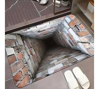 Tapis à illusion d'optique 3D - Testez et jouez avec un chien ou un chat, tapis qui ressemble à un trou dans le sol, tapis avec trou 3D, illusion d'optique, paillasson antidérapant pour porte, entrée