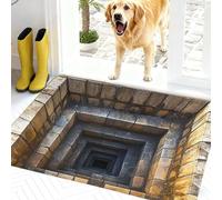 Tapis à illusion d'optique, le chien a peur du tapis avec trou 3D, tapis qui ressemble à un trou, tapis à illusion d'optique 3D sans fond, testez et jouez avec votre chien ou chat (H 40 x 60 cm)