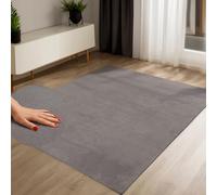 Tapis à poils courts, gris foncé, 120 x 160 cm, lavable, doux, antidérapant, pour salon, chambre à coucher, aspect fourrure, facile d'entretien, tissu plat, moderne, élégant, uni