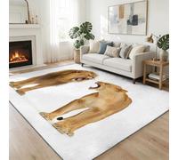 Tapis À Poils Courts Lavable 60 x 90 cm Lion Lionne Tapis Salon, Animaux Sauvages Doux Antidérapant Moquette pour Entrée Intérieur Chambre Cuisine Chambre d'enfant