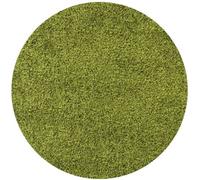 Tapis à poils longs LIFE Vert 160 cm Rond