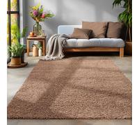 Tapis à Poils Longs, Unicolor - Monochrome, Tapis Marron, 300 x 400 cm, Tapis de Style Moderne, Tapis Salon